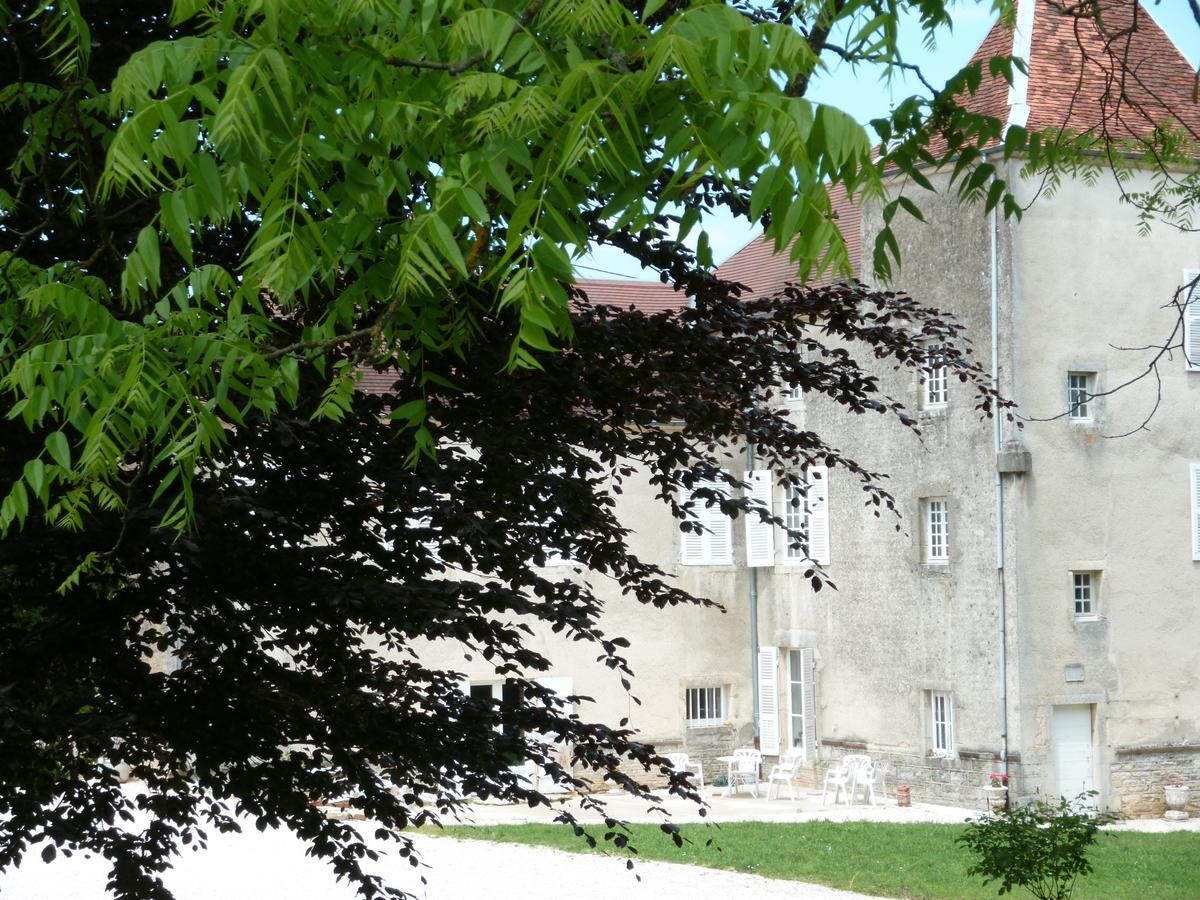 Chateau La Hussardiere Dampierre-sur-Salon Exterior photo