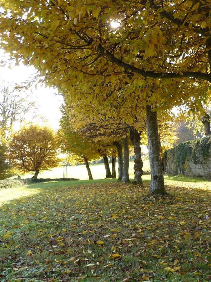 Chateau La Hussardiere Dampierre-sur-Salon Exterior photo